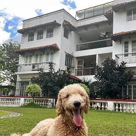 Miranamin Nest Gumamela Suite With View, Pet-Friendly